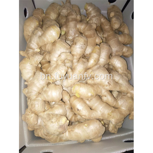 250g এবং আপ বায়ু শুকনো আদা